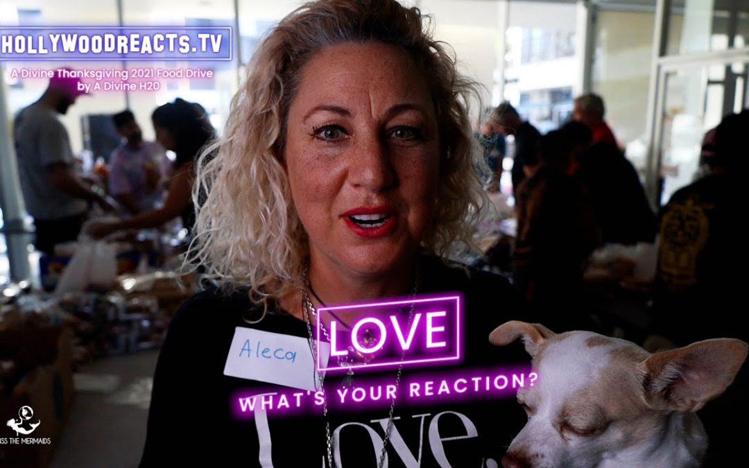 Vlogs We Love: Aleca & Falafel King React To The Word ‘Love’ – Hollywood Reacts – Divine Project