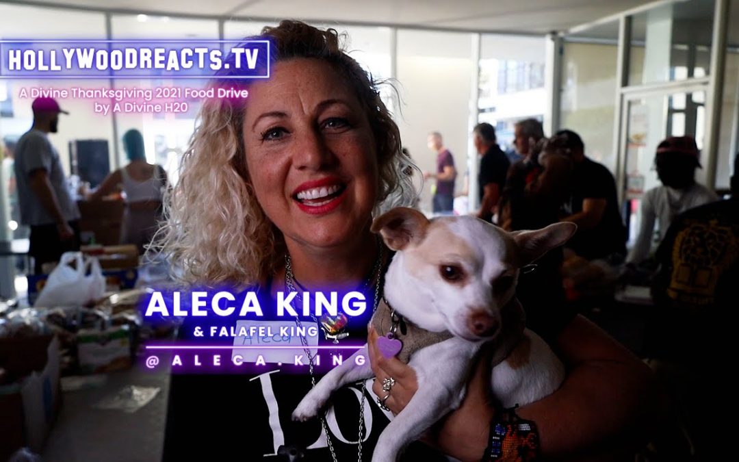 Vlogs We Love: Who is Aleca King? Hollywood Reacts – Divine Project