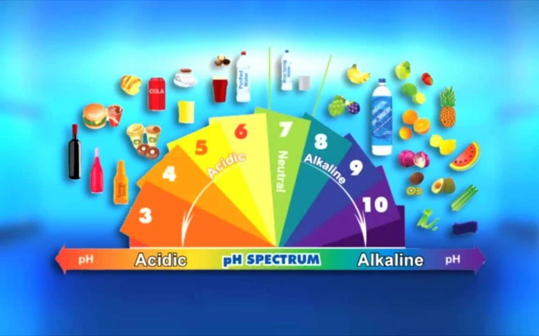 Eat To Live: The Alkaline Diet: Does It Work?