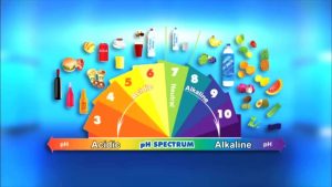 The Alkaline Diet: Does It Work?