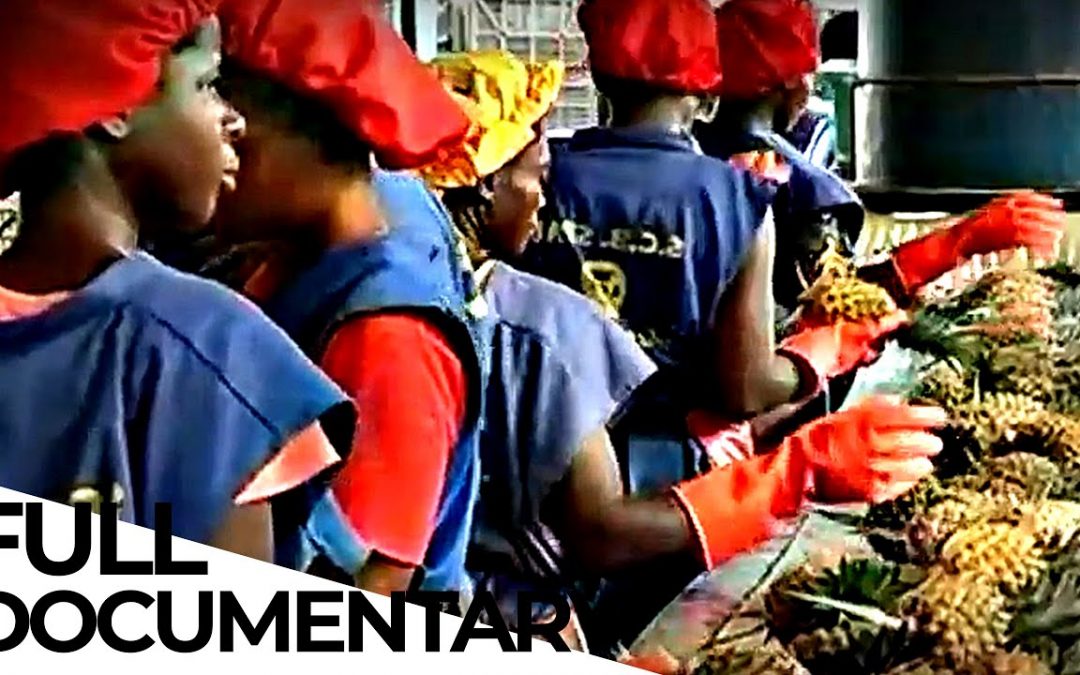 Let Us Pray: Food Globalization: The Truth Behind Cheap Food | ENDEVR Documentary