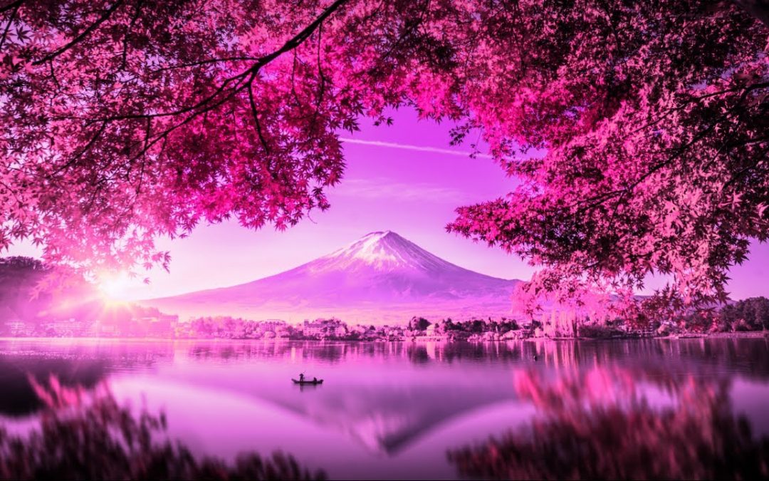 Love Frequencies: 432 Hz Reiki Music For HEALING | Cleanse Negativity & Heal The Past | Emotional Healing