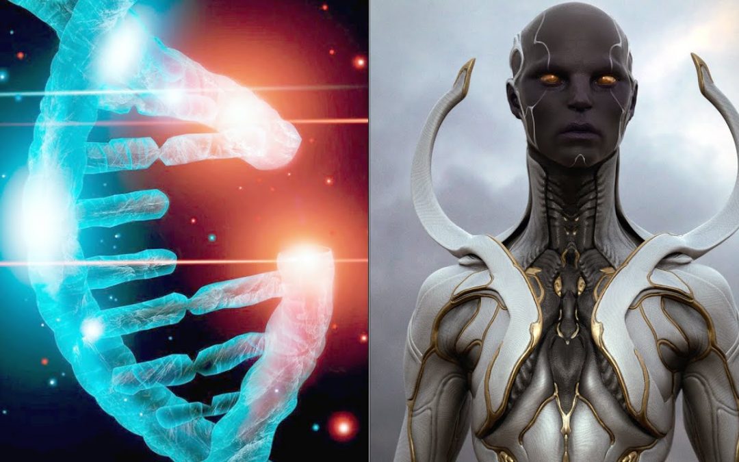Vlogs We Love: ANUNNAKI | The Secret History of Humanity’s  Contact with Ancient Aliens – Documentary Box-set