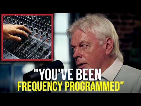 Vlogs We Love: “Music Is Frequency Programming” 440HZ