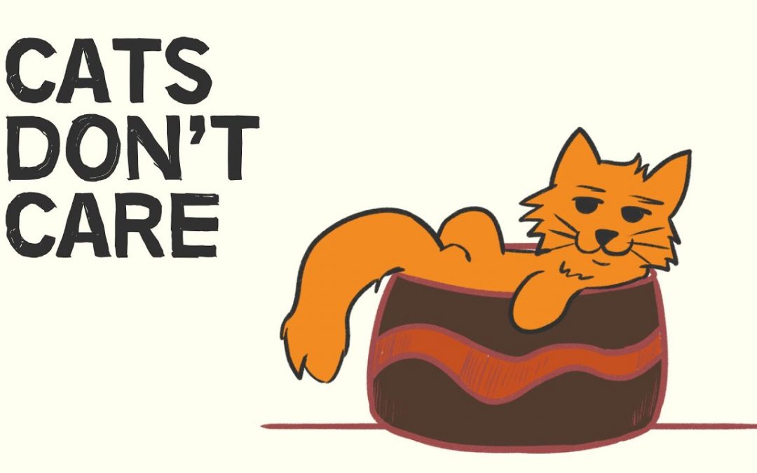 Vlogs We Love: What Cats Teach Us About Happiness | A Cat’s Philosophy