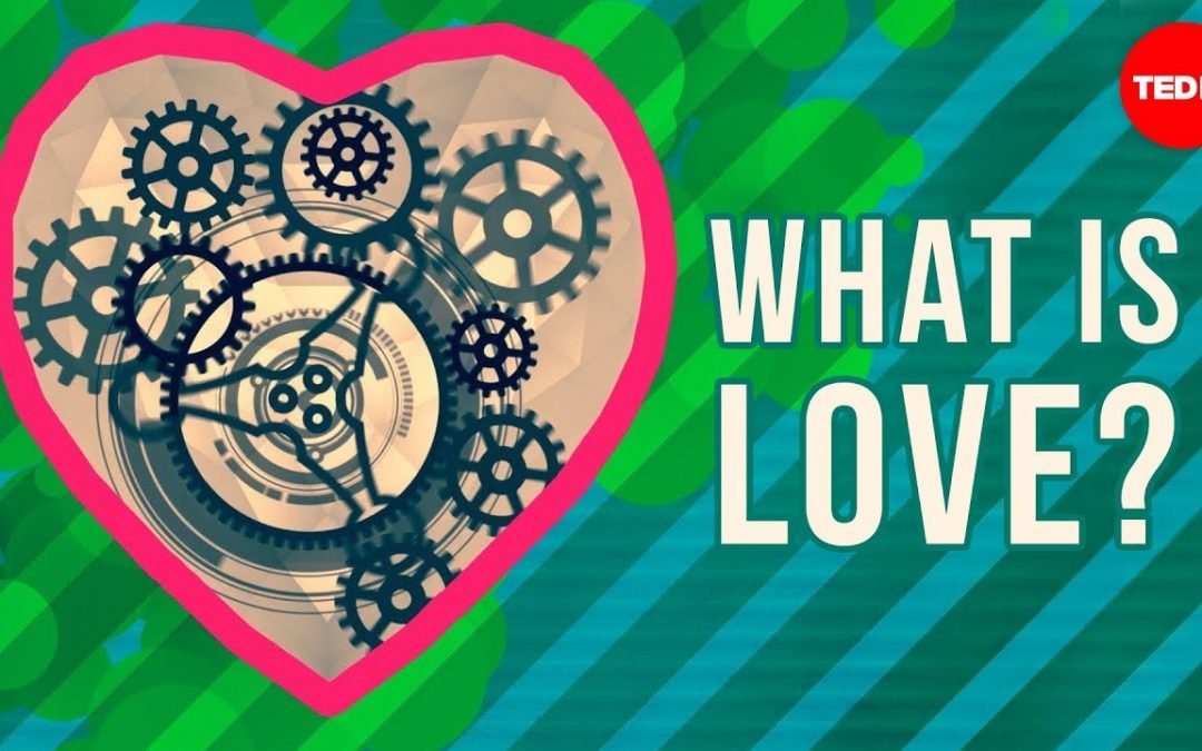 Vlogs We Love: What is love? – Brad Troeger