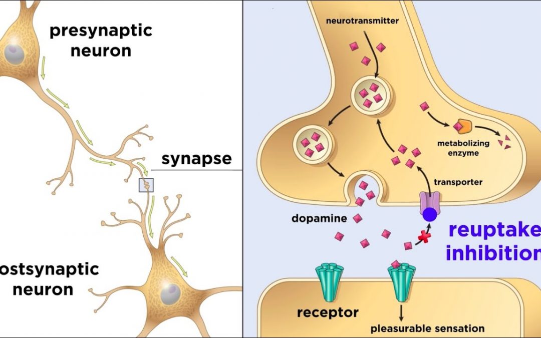 Let Us Pray: Drug Addiction and the Brain