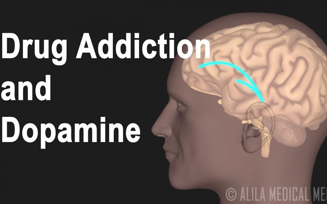 Let Us Pray: Mechanism of Drug Addiction in the Brain, Animation.