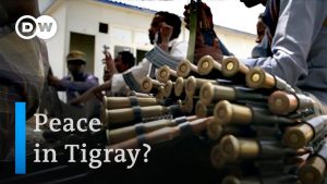 Peace talks in Ethiopia: Tensions remain high in Tigray region | DW News
