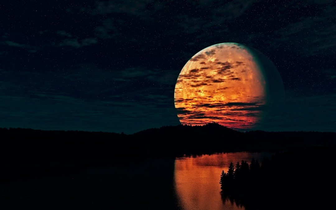 Love Frequencies: 1 HOUR LOOP 432Hz Ark Patrol – Let Go (slowed instrumental)