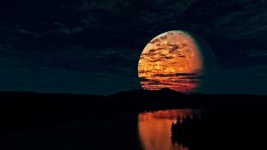 1 HOUR LOOP 432Hz Ark Patrol - Let Go (slowed instrumental)