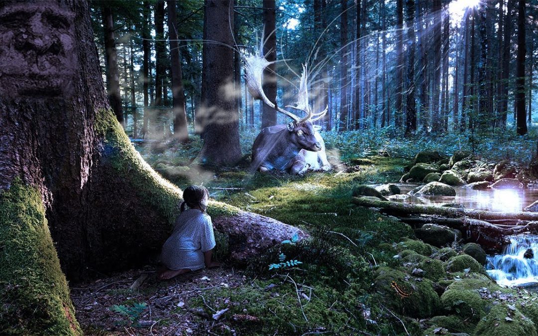 Love Frequencies: 432Hz Celtic Music: The Most Magical Fairy Place You'll Ever Visit