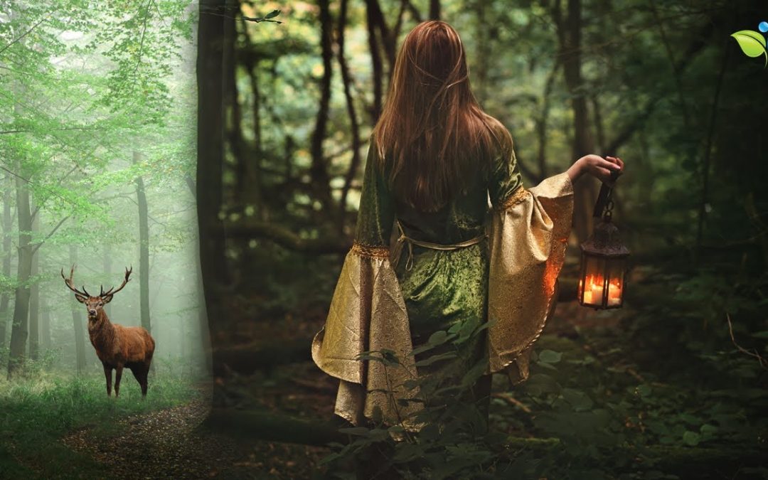 Love Frequencies: Enchanted Celtic Music | 432Hz Nature Music | Magical Forest Sounds