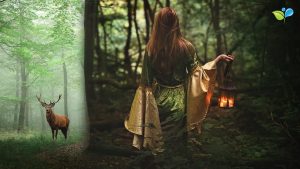 Enchanted Celtic Music | 432Hz Nature Music | Magical Forest Sounds