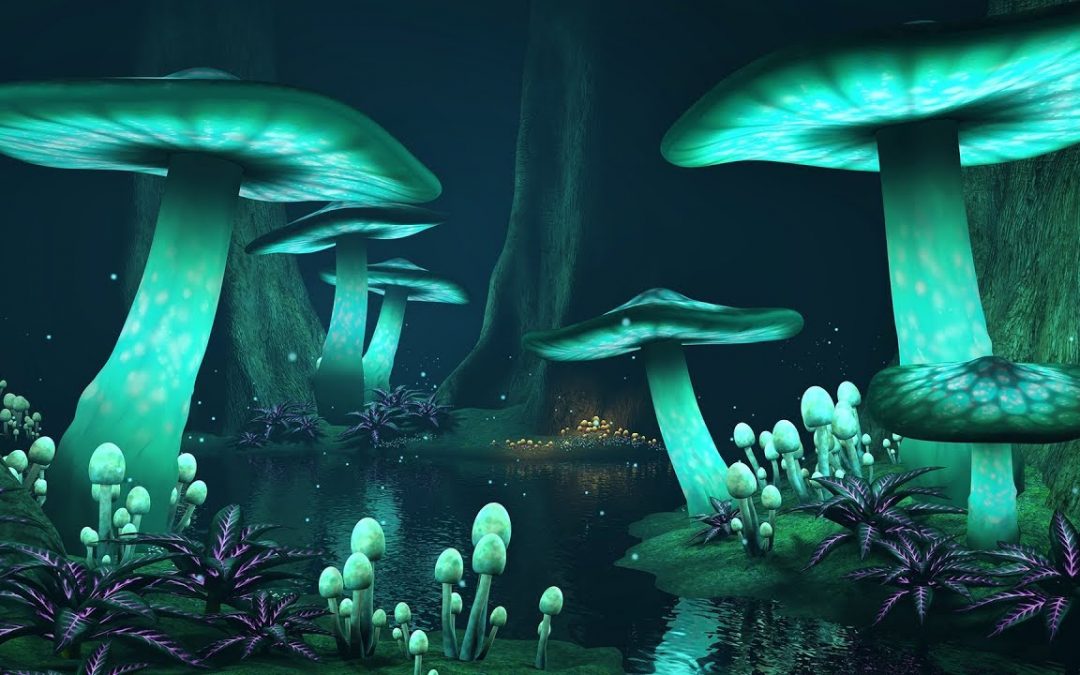 Love Frequencies: Into an Enchanting Forest || Magical Celtic Music @432Hz || Mystical Forest Sounds