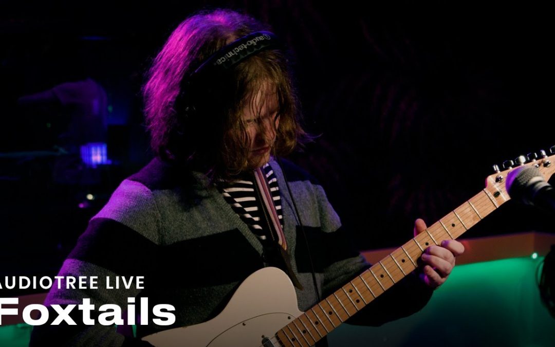 Vlogs We Love: Foxtails – i experienced ego death on an nde thread | Audiotree Live