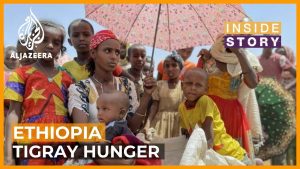 What's needed to end the famine in Tigray? | Inside Story