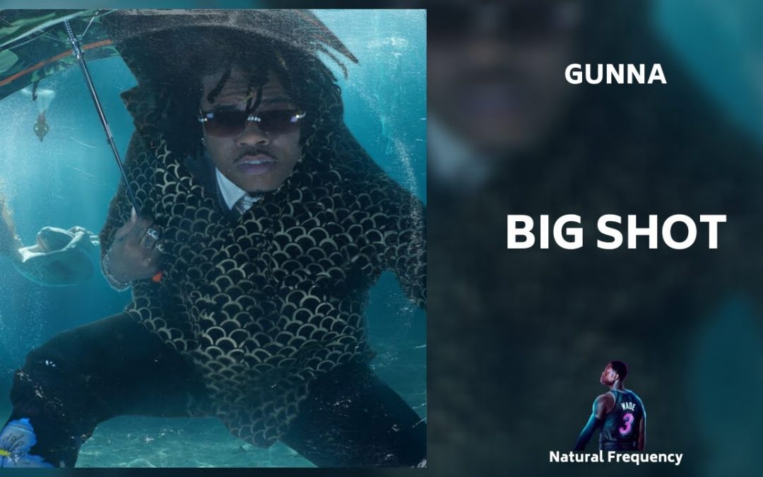 Love Frequencies: Gunna – Big Shot (432Hz)