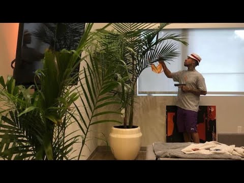 Love Frequencies: Larry June – Watering My Plants 432Hz