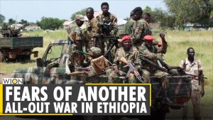 Ethiopia: Fear Tigray conflict could trigger all-out war, 20 civilians killed in clashes | WION News