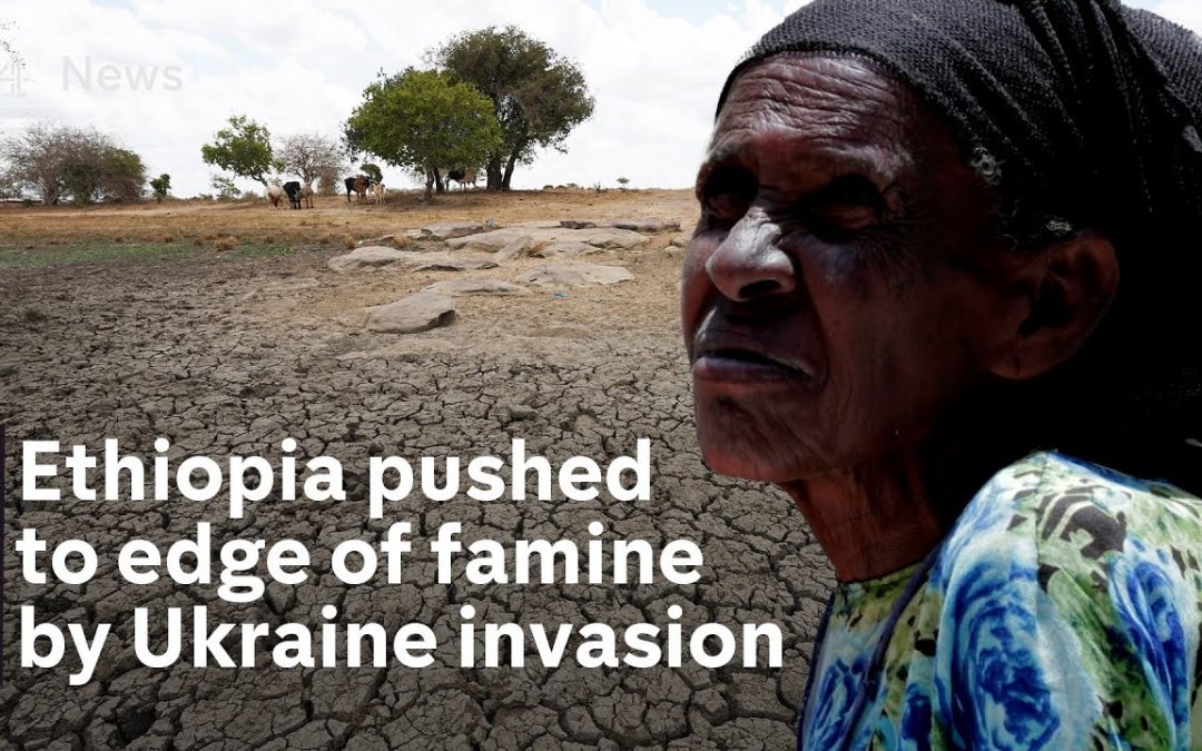 Let Us Pray: How the Ukraine war hit Ethiopia’s food supplies