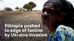 How the Ukraine war hit Ethiopia’s food supplies