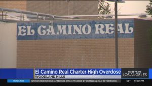 Woodland Hills teenager dies from fentanyl overdose