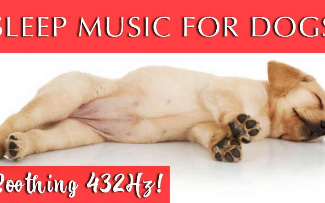 Love Frequencies: Help My Dog Sleep at Night | 432hz Sleep Music for Dogs