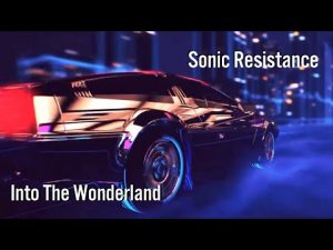 Into The Wonderland | Sonic Resistance | 432Hz