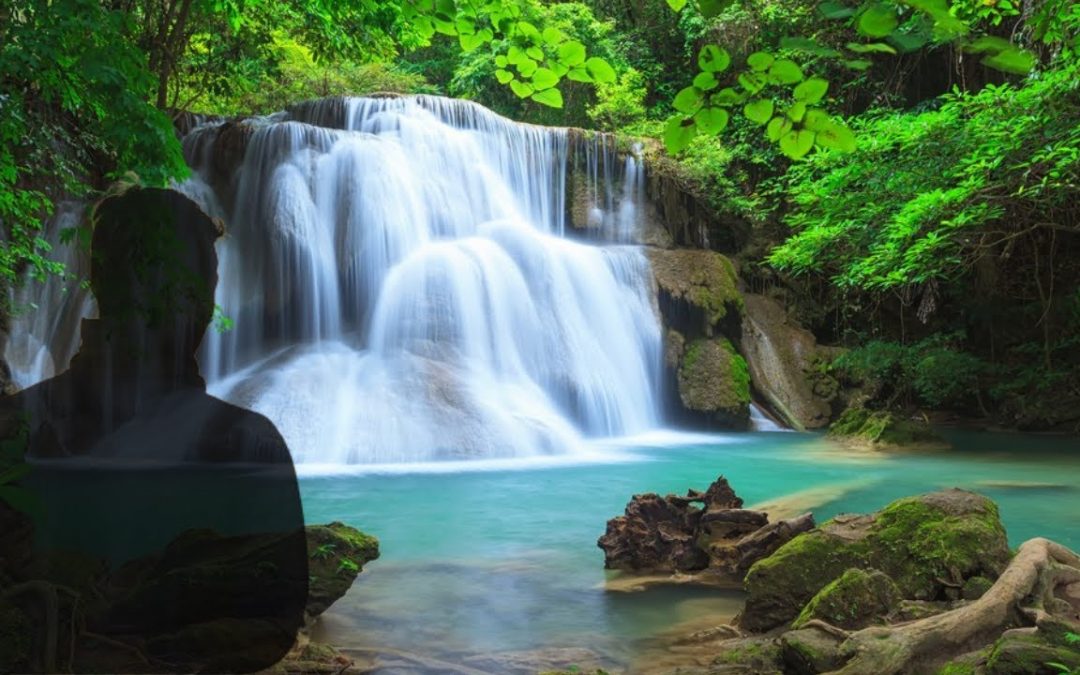 Vlogs We Love: I Died And Saw The River Of Life | Near Death Experience | NDE