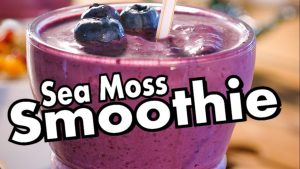 SEA MOSS SMOOTHIE RECIPE | Dr. Sebi Food List Inspired...EASY! (ALKALINE FOODS)