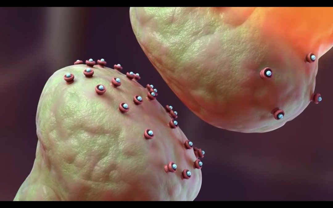 Let Us Pray: Drug Addiction: How Opioids Like Fentanyl Work