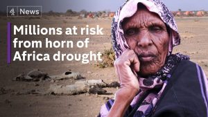 Ethiopia on the brink of worst famine in decades