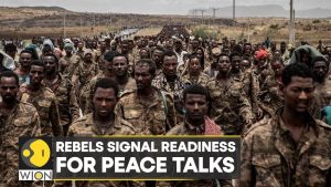 Ethiopia's Tigray rebels say ready for AU-led peace talks | Latest English News | WION